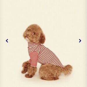 Little Beast Fire and Wind Shirt